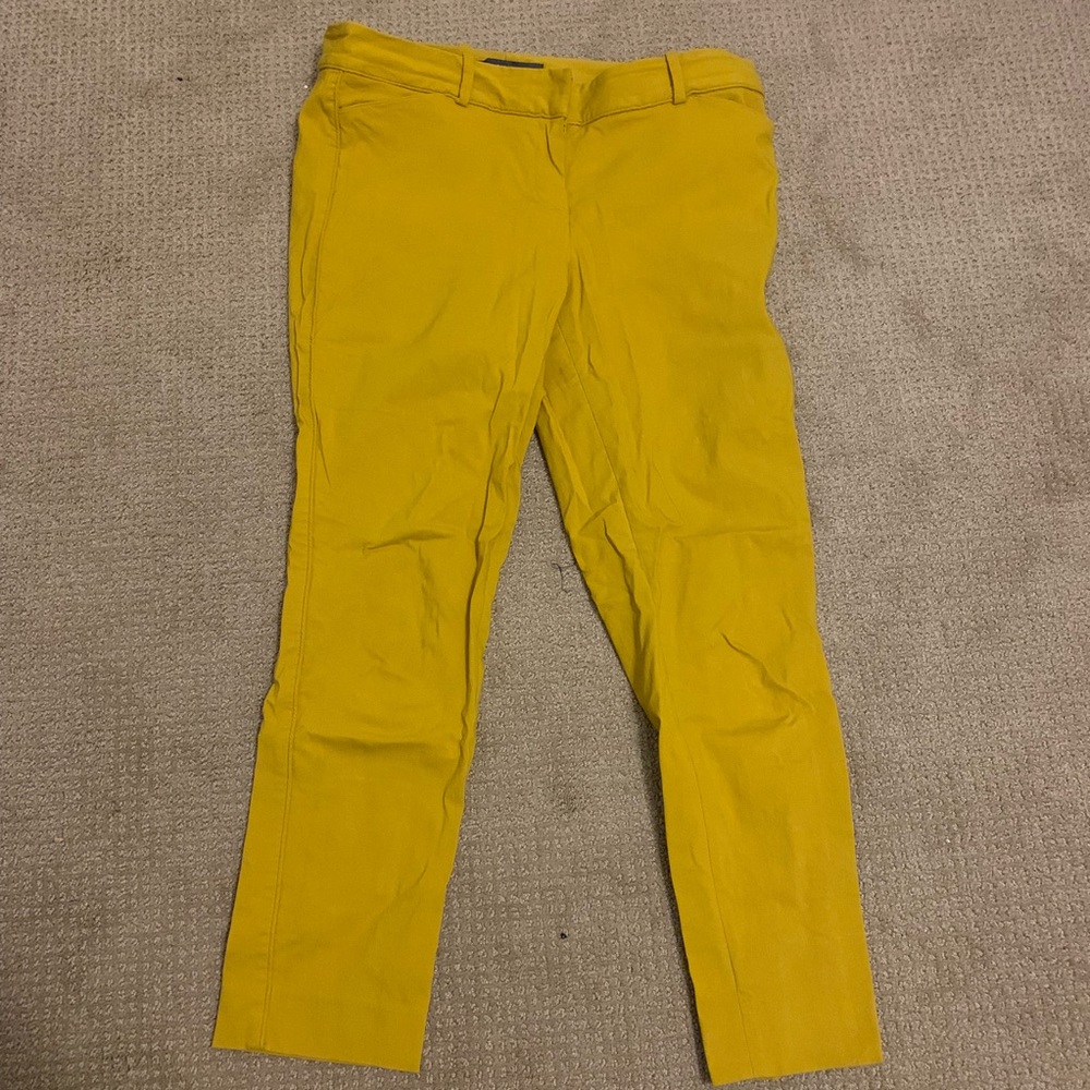 The Limited Skinny Exact Stretch Pants